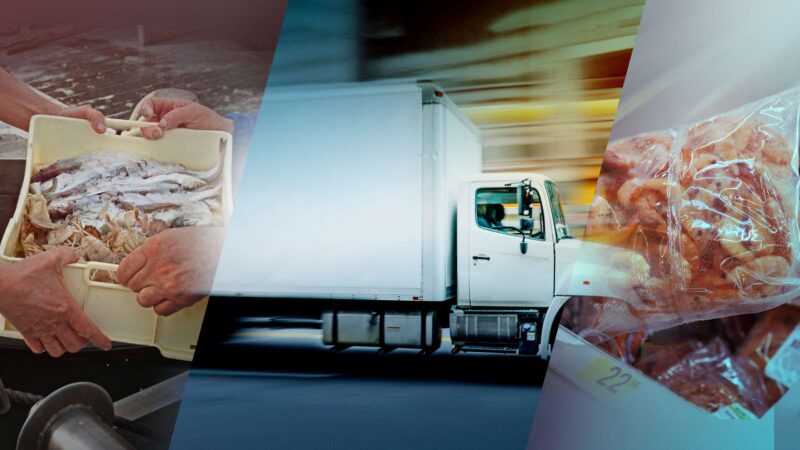 生鲜电商竞逐冷链物流：自建体系成行业破局关键-易软通供应链